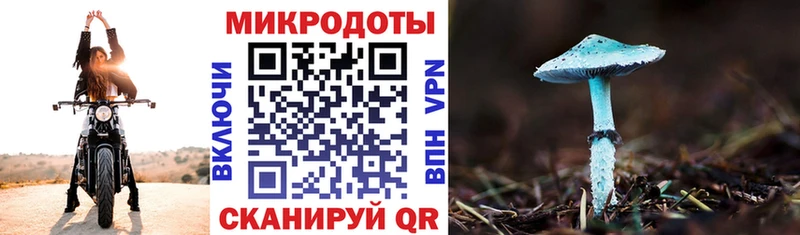 Псилоцибиновые грибы мицелий Уварово
